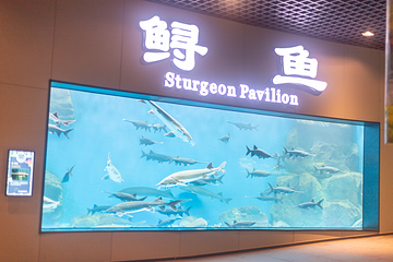 吉安海洋世界第 39 张图片