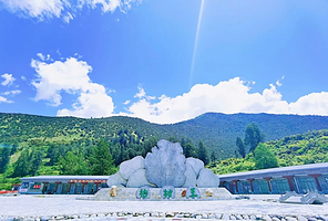 世界柏树王园林