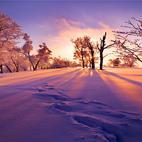 龙湾群国家森林公园四方顶景区