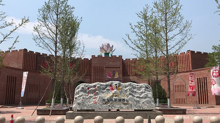 荷花小镇第 1 张图片