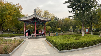 南开公园第 1 张图片