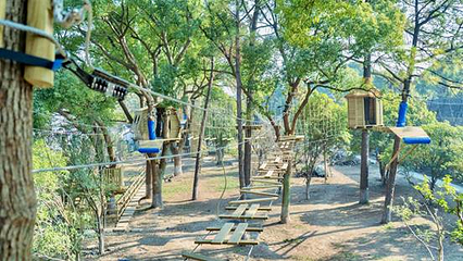 TREE TO TREE萃萃树探险乐园第 8 张图片