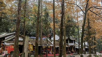 灵岩景区第 1 张图片