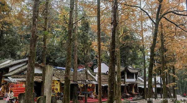 灵岩景区