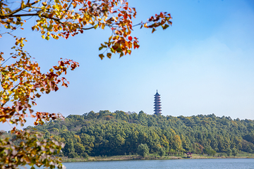 平山森林公园第 4 张图片