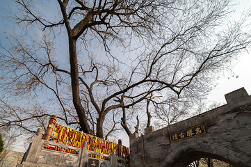 洪洞大槐树寻根祭祖园第 29 张图片