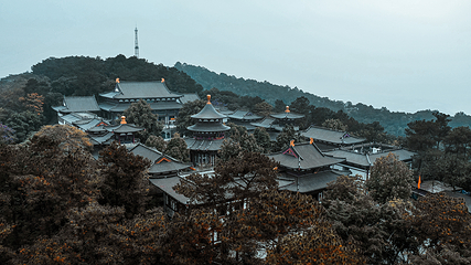 青秀山第 298 张图片