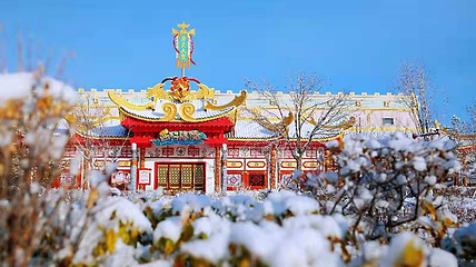 阿唛龙幻想乐园第 25 张图片