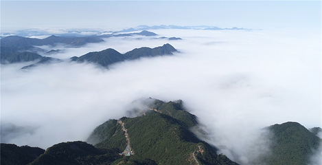 莽山五指峰景区第 99 张图片