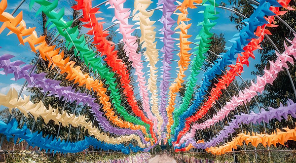 韶关百林湾生态园