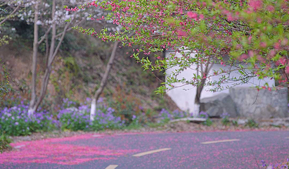 花乡茶谷旅游景区第 7 张图片
