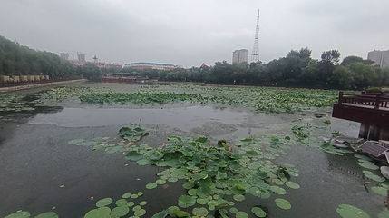 南湖公园第 1 张图片