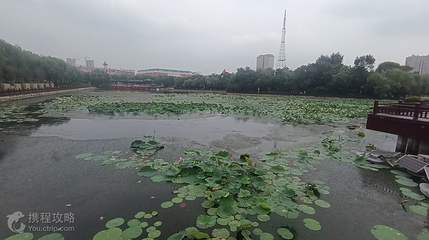 南湖公园第 2 张图片