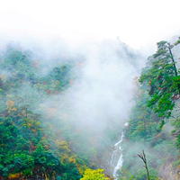 天目山景区