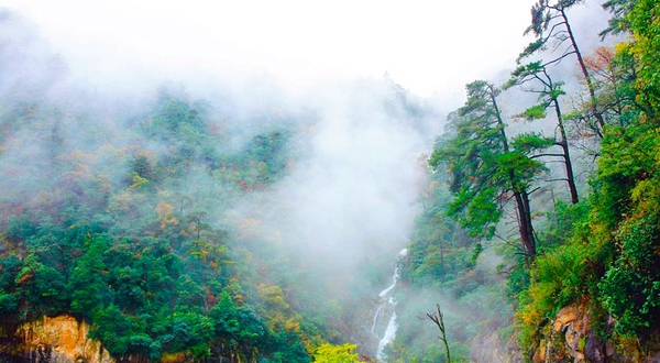 天目山景区