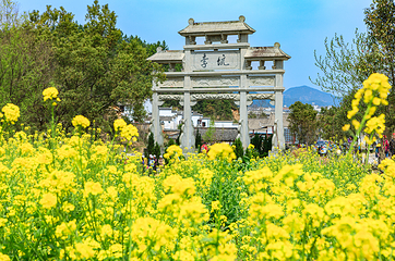 婺源风景区第 126 张图片