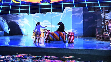 大连圣亚海洋世界海洋馆演出现场