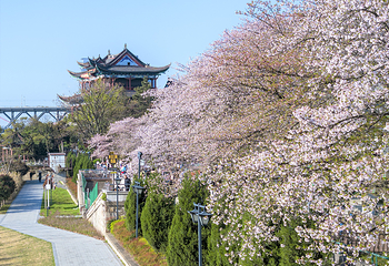 晴川阁第 35 张图片