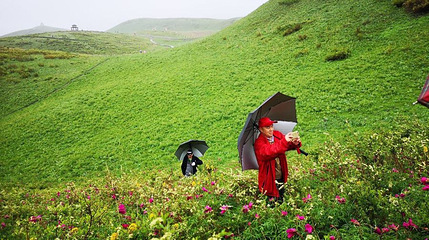 裕民县芍药谷第 1 张图片