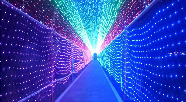 北村村万亩荷塘灯光水幕园