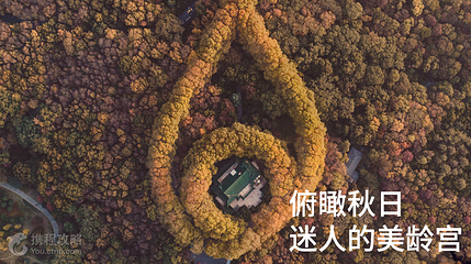傲鹰空中之旅第 2 张图片