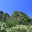 龟背山