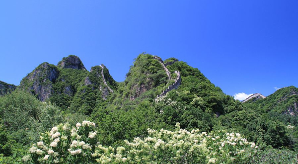 小七孔景区-龟背山