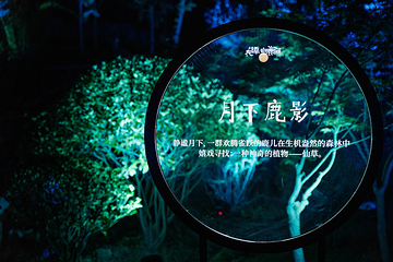 夜谭·白鹿原第 20 张图片