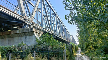 泺口黄河铁路大桥