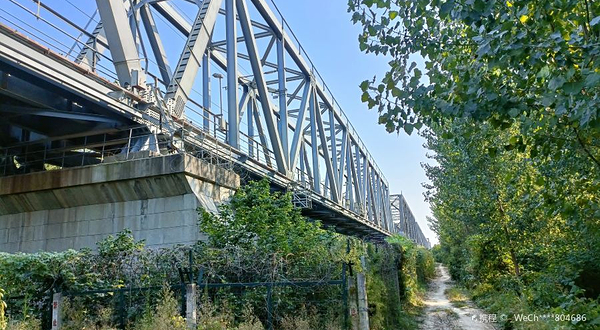 泺口黄河铁路大桥