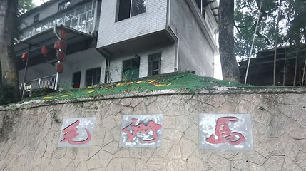 毛州岛第 1 张图片