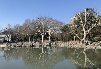 复兴公园第 4 张图片