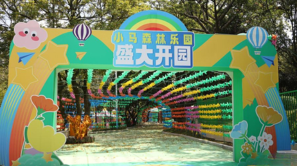 小马森林乐园第 1 张图片
