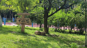 棒棰岛风景区-滨海怪坡