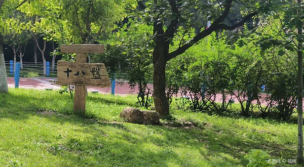 棒棰岛风景区-滨海怪坡