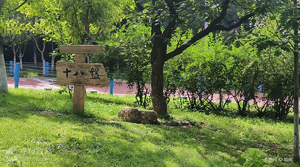 棒棰岛风景区-滨海怪坡第 3 张图片