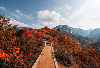 神灵寨风景区第 9 张图片