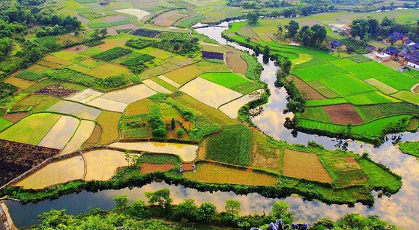 三五丘七彩田园