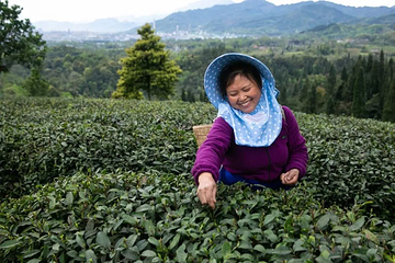 茶溪谷第 86 张图片