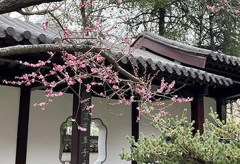 雨花台第 13 张图片