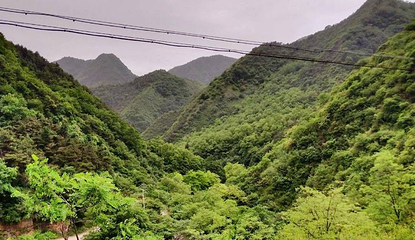 崛山森林公园第 1 张图片
