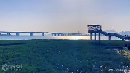 下潭尾滨海湿地公园第 3 张图片