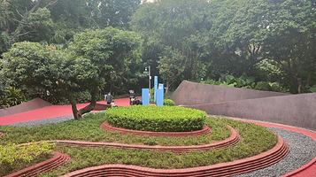 西丽水库桃花林