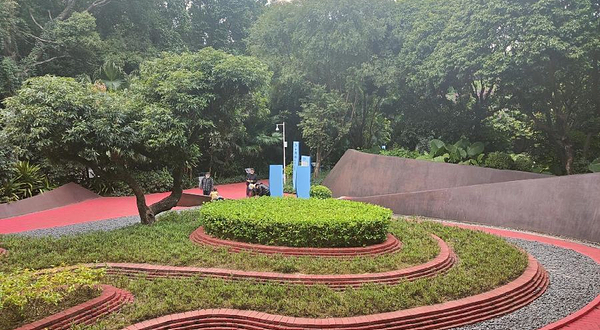 西丽水库桃花林