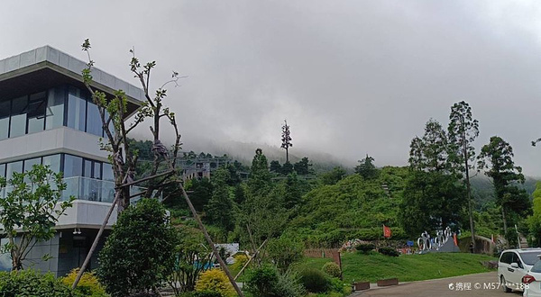 金华市浙中杜鹃谷