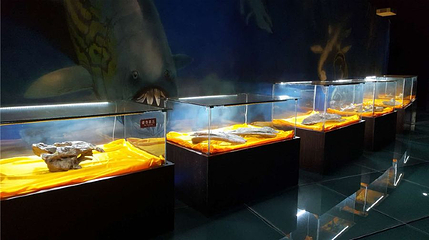 诸城中国暴龙馆第 1 张图片