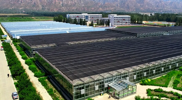 敕勒川现代农业产业园