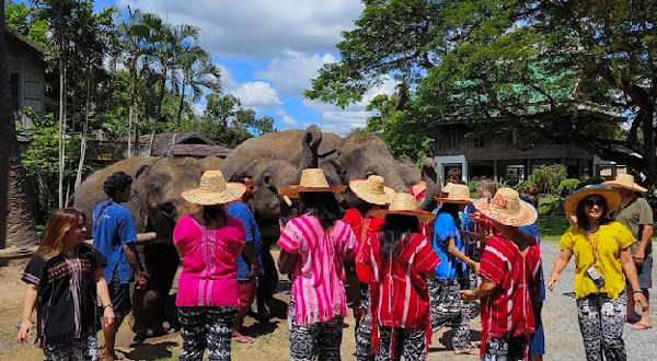 曼谷大象营