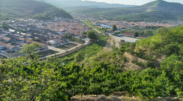 钟家沟大樱桃采摘园