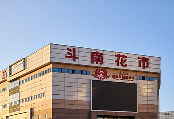 昆明斗南花卉市场第 2 张图片